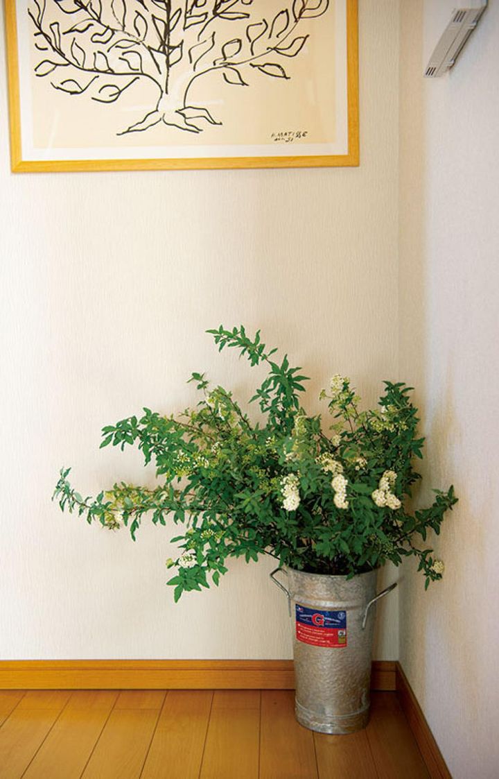 春の花コデマリでお出迎え。床置きが効果的