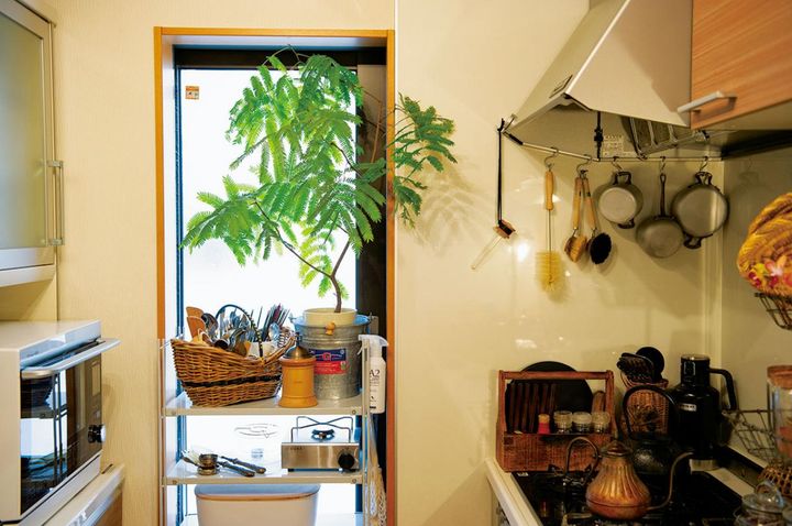 キッチンには涼しげなエバーフレッシュを