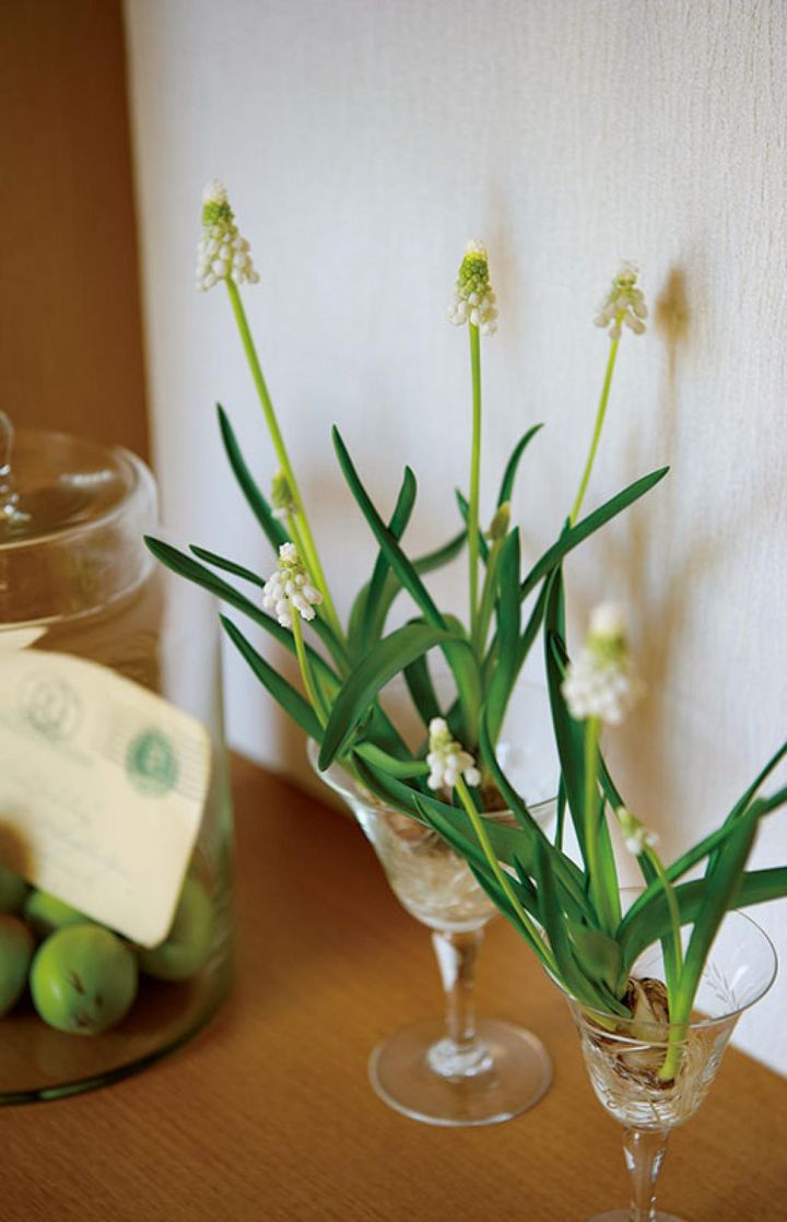 デザートグラス