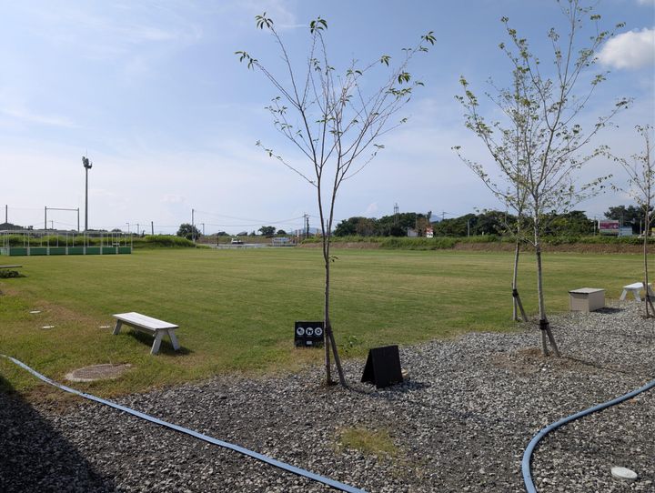 いつもとは違った景色を堪能【COSMOS CAFE(コスモスカフェ)】