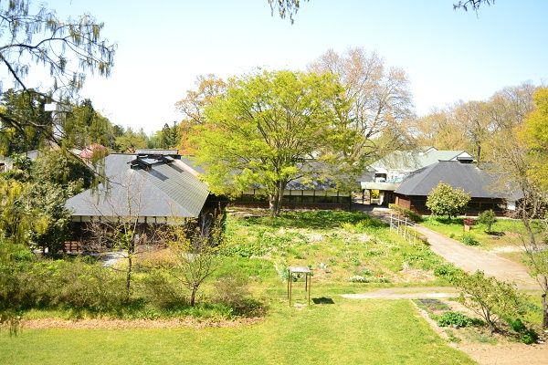 【福島県】酪農業の課題解決に向け、希少なミルクを活用したチーズ・ヨーグルトづくりに挑戦！