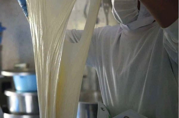 【福島県】酪農業の課題解決に向け、希少なミルクを活用したチーズ・ヨーグルトづくりに挑戦！