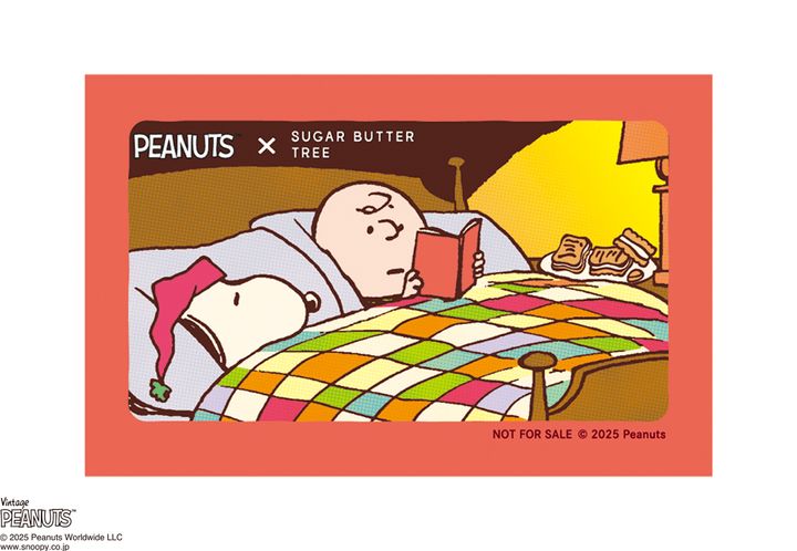 キャンペーン情報