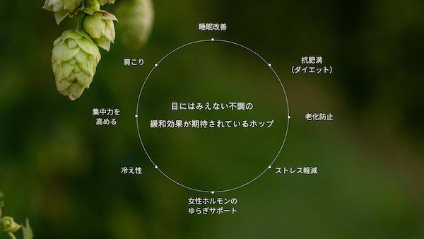 東北産ホップでひと呼吸の余白を。Sottの100%天然由来ピローミストがMakuakeに登場