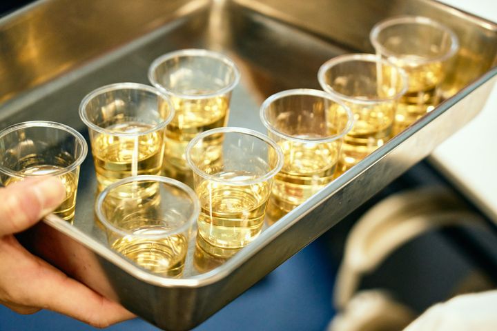 カップに入った焼酎