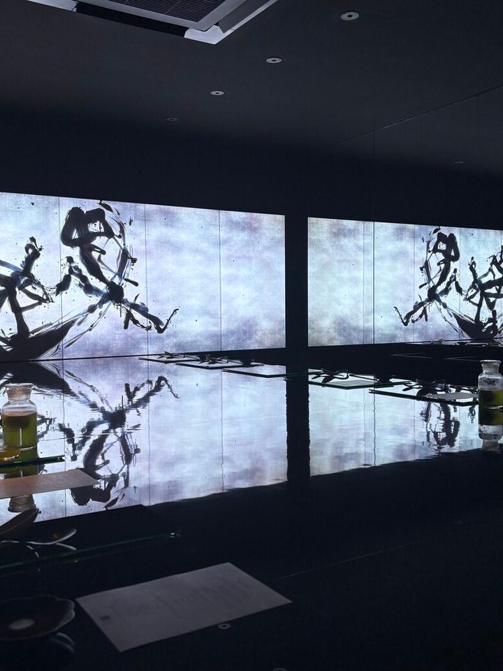 チームラボ《反転無分別 - Black in White》