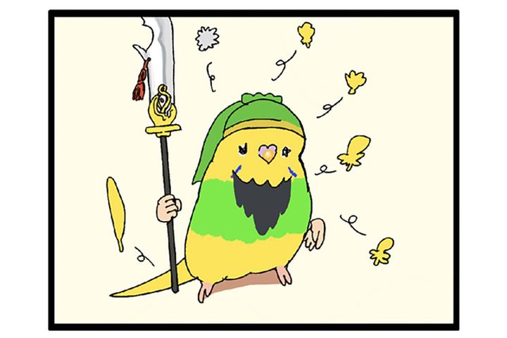 愛しいけど大変すぎる…換羽期と放鳥タイムのリアルな攻防戦【鳥マンガ #130】