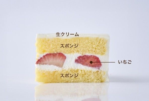 クリスマスショートケーキ（断面）