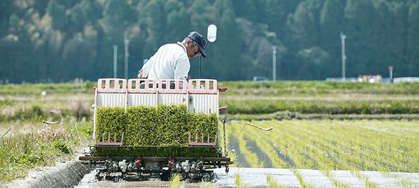 農家から高く買い取り消費者に安く届ける『トポ米』開始。第1弾は近江米玄米30kg！