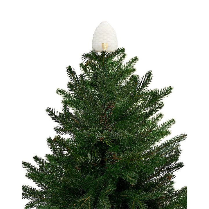 ツリートップ ポム ド パン ゴールデン リフレクション