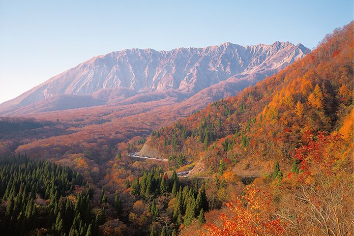 【紅葉2025】中国・四国エリアの絶景紅葉ルート