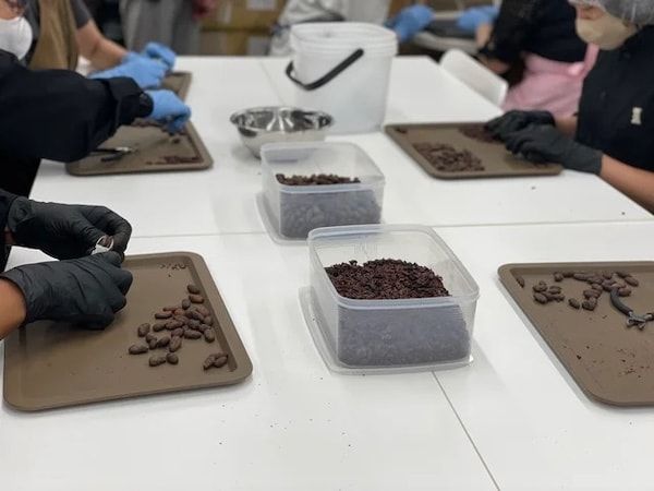 プラントケーキで話題の「パティスリー コンサクレ」が神戸・北野異人館街にオープン！