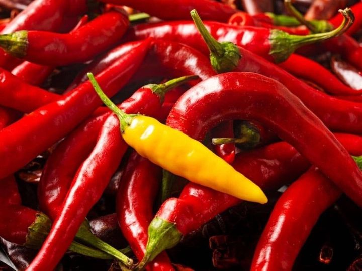【医師が解説】辛い食べ物には、代謝促進、脂肪燃焼、冷え性改善や疲労回復効果などのほか、多幸感が得られストレス解消になったりする効果が報告されています。一方で、食べ過ぎは、胃や心臓へのリスクも。激辛料理の魅力と健康効果を科学的に解説します。※画像：アマナイメージズ