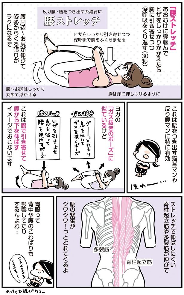 腰をつき出す猫背マンや反り腰マンに特に有効 （C）いしかわ ひろこ／KADOKAWA