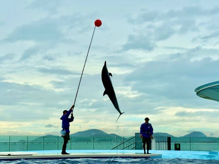 四国水族館 イルカプレイングタイム