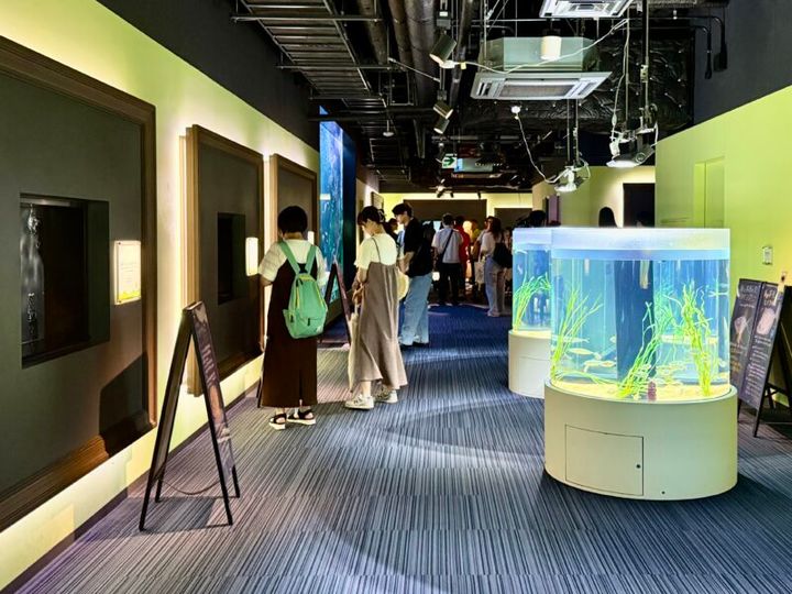 四国水族館 内観