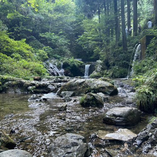 【“自然界隈”が行く秋川渓谷】紅葉スポットとしてもおすすめ！日本の滝百選に選ばれた「払沢の滝」に癒された…