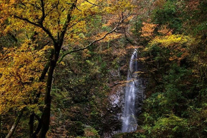 払沢の滝 秋の様子