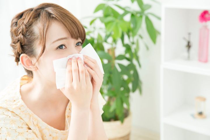 秋花粉症とは？（画像はイメージ）