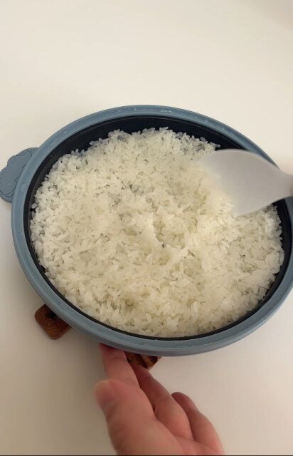 chef 雪の妖精シマエナガレンジパンは電子レンジでご飯が炊ける