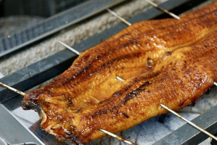 うなぎを生で食べないのはなぜ？