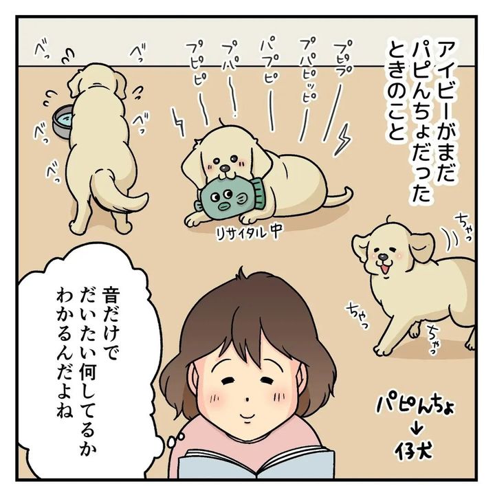 漫画「その静けさ…なにかの前兆です！」のカット（餅付きなこさん提供）