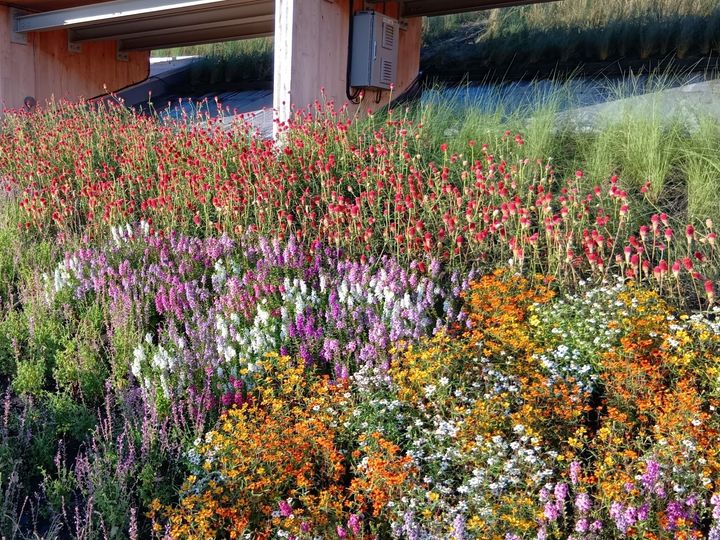 万博閉幕直前！歩いて出会える“顔のない人魚”像？アート＆植物（森＆大屋根リング）の魅力を総まとめ！