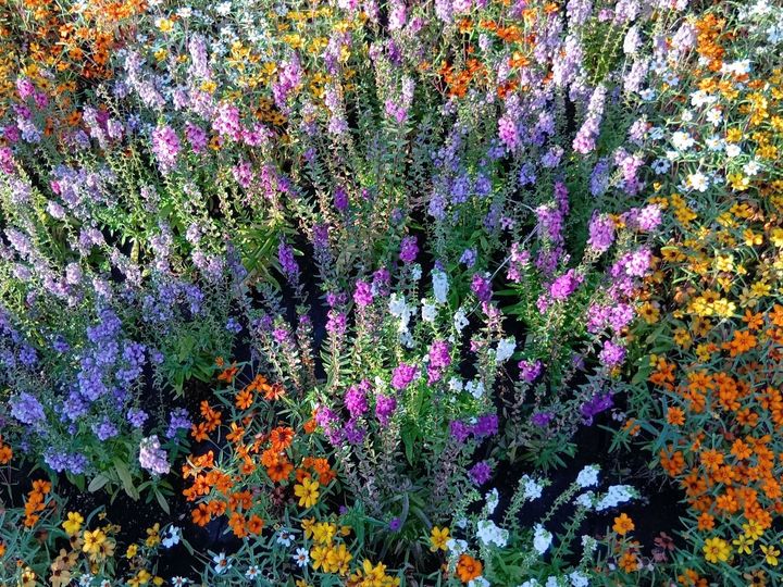 万博閉幕直前！歩いて出会える“顔のない人魚”像？アート＆植物（森＆大屋根リング）の魅力を総まとめ！