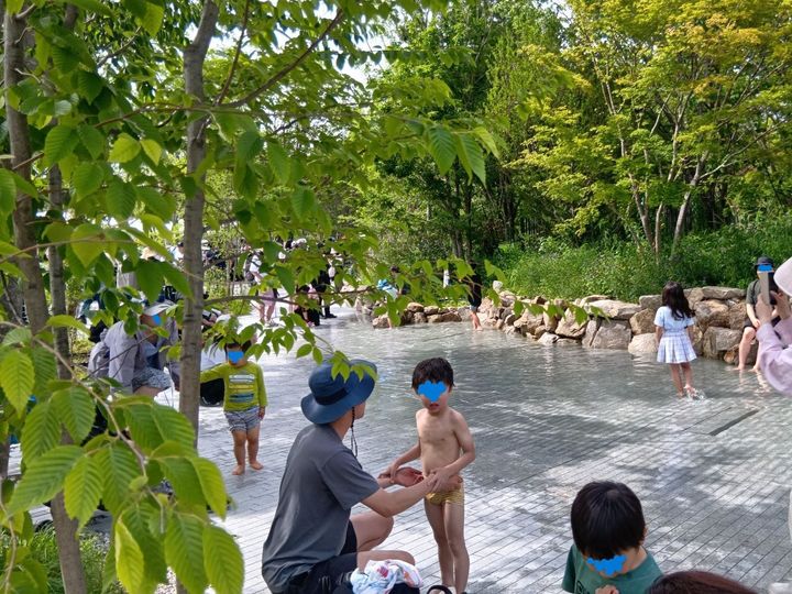 自然の命を活かしながら、人々の憩いの場としても楽しめる森になっています。