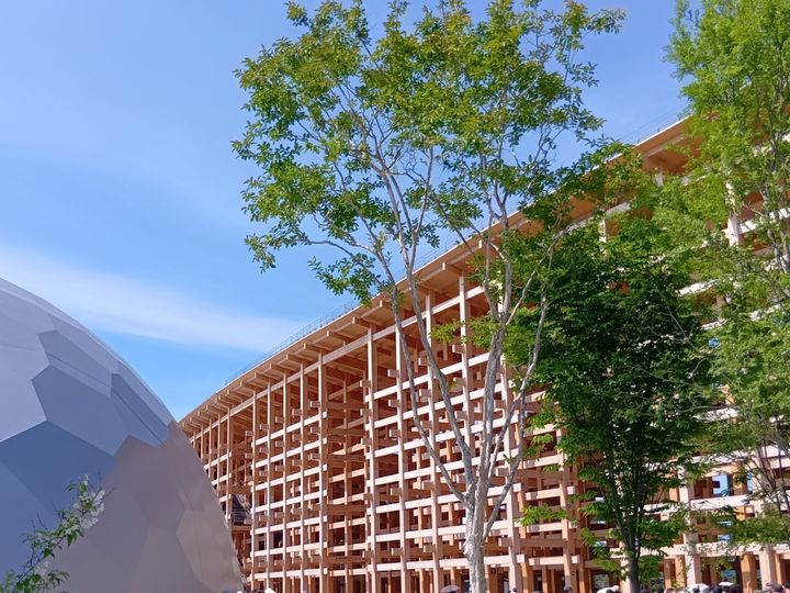 万博閉幕直前！歩いて出会える“顔のない人魚”像？アート＆植物（森＆大屋根リング）の魅力を総まとめ！