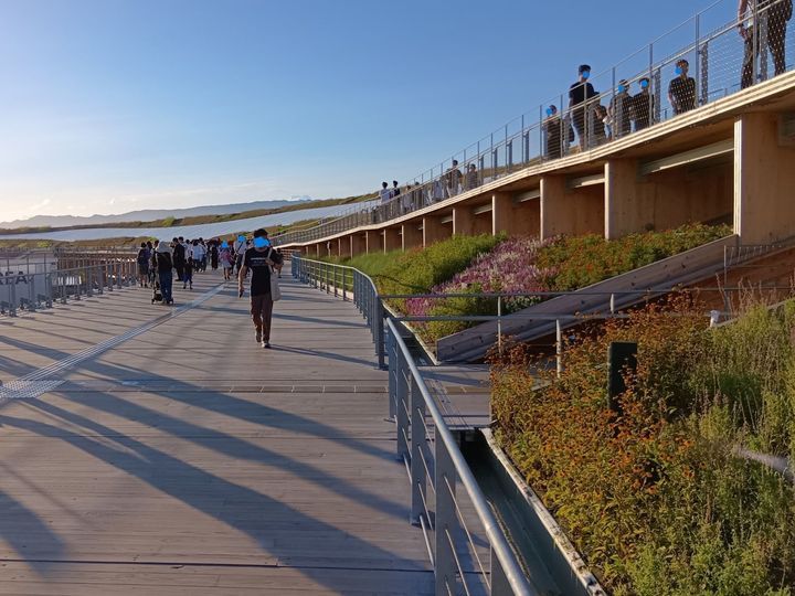 万博閉幕直前！歩いて出会える“顔のない人魚”像？アート＆植物（森＆大屋根リング）の魅力を総まとめ！