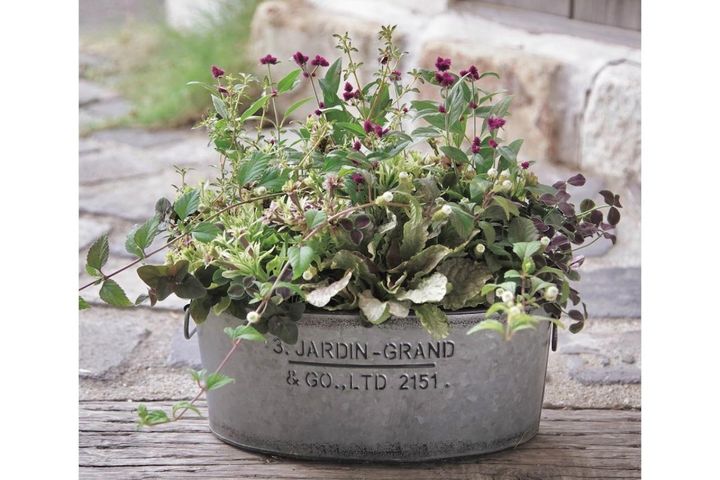 センス抜群！ シックな印象の【秋の寄せ植え】インスタで話題の園芸店が提案