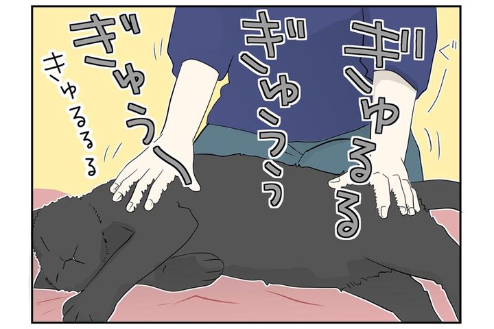 【マンガ・老猫日誌＃31】共鳴する猫と飼い主…18歳の元保護猫・桃姐