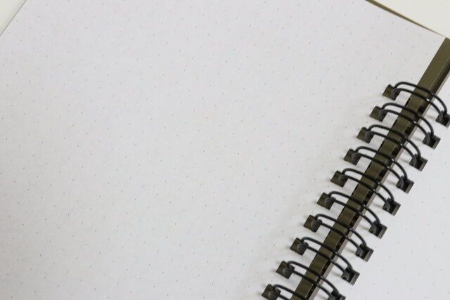 ダイソー ペンが挟めるリングノート（40枚、B6、モスグリーン、ブルー） 紙 デザイン 見開き