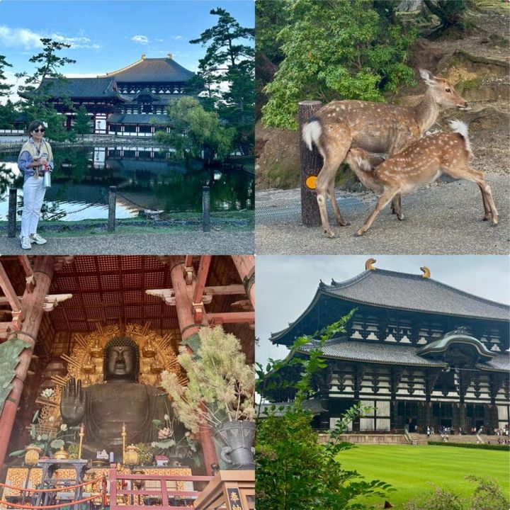 kotokoさん_奈良旅行大仏など