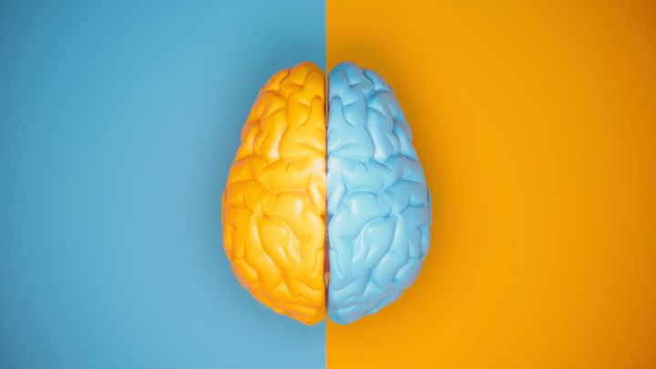 極右と極左の脳は驚くほど似た反応をすると判明！