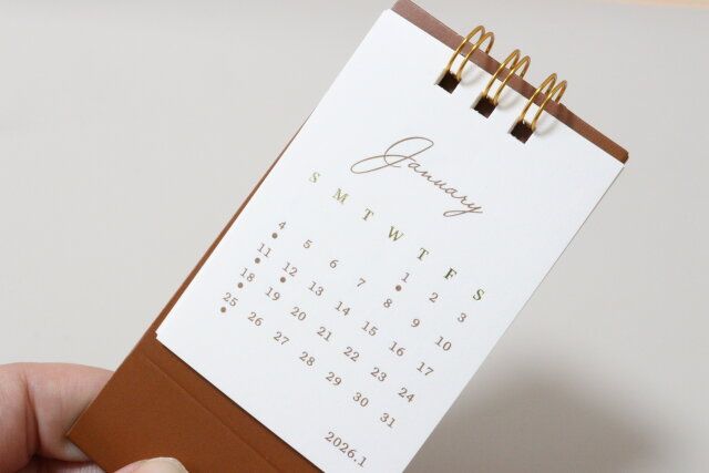 ダイソー 2026年卓上Wリングカレンダー（ミニ）