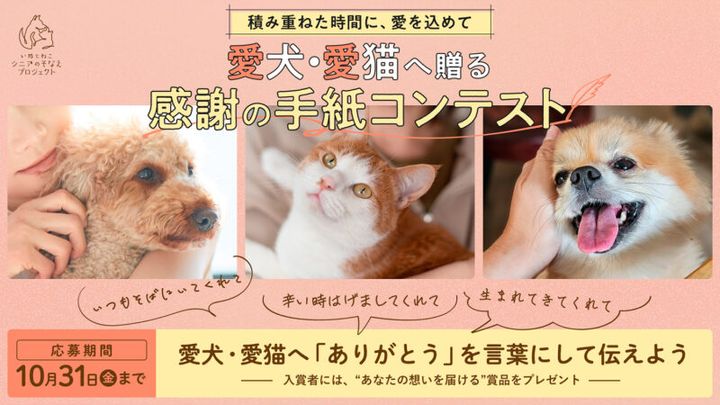 ペットへの手紙