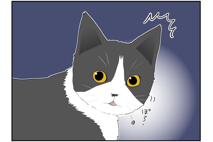 【マンガ・老猫日誌＃32】猫、つまみ食いをする。18歳の元保護猫・桃姐