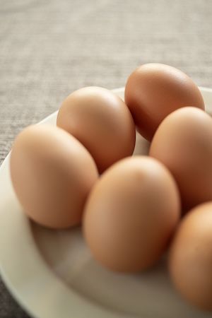 丹波栗を使用した究極の栗スイーツ「最高級和栗のプレミアムガトーマロン」が誕生