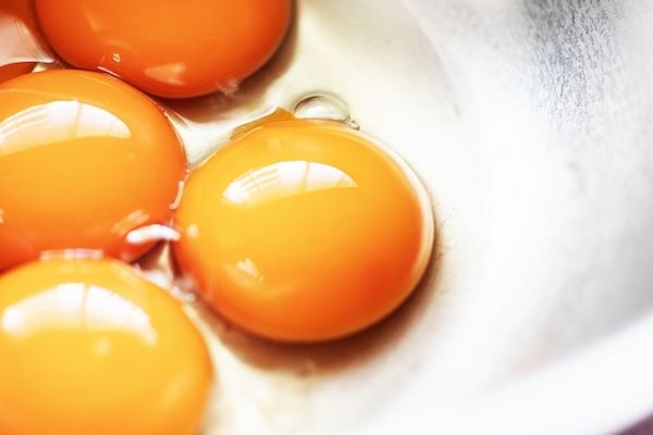 丹波栗を使用した究極の栗スイーツ「最高級和栗のプレミアムガトーマロン」が誕生