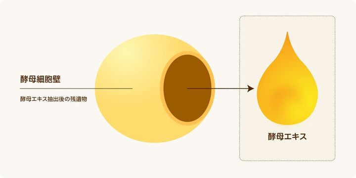 LOUNGE FEATURES｜Asahi Biocycle