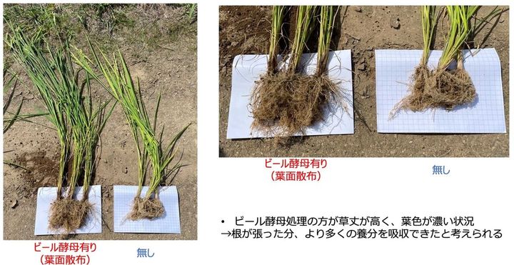 LOUNGE FEATURES｜Asahi Biocycle