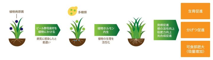 LOUNGE FEATURES｜Asahi Biocycle