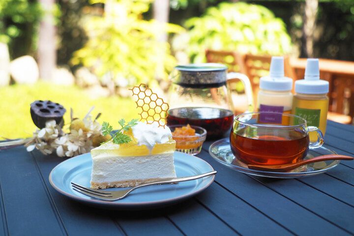 解放感あふれるテラスでハニーなティータイム♪ 小田原の隠れ家はちみつ専門店「カフェあさみどり」