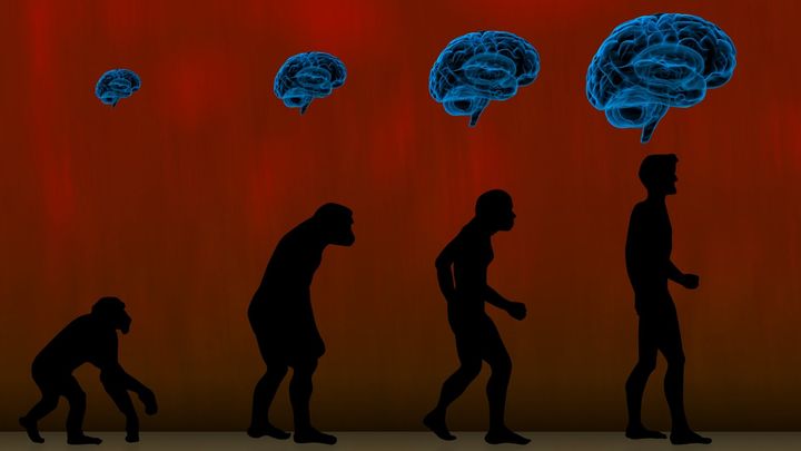 なぜ大きな脳の心は弱いのか？