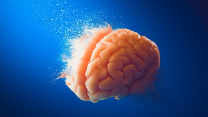 人類の『知性』は『精神の不安』と引き換えだったかもしれない