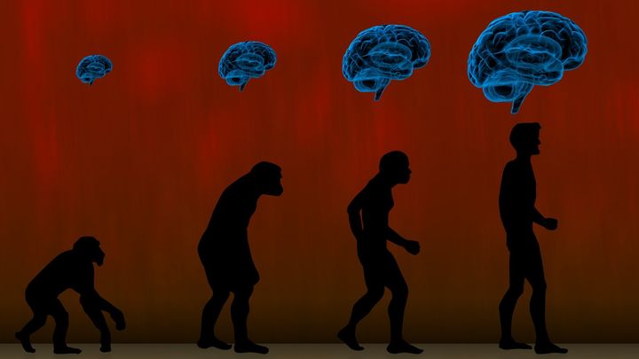なぜ大きな脳の心は弱いのか？