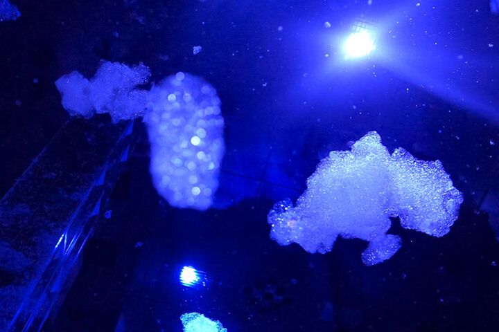 京都にチームラボ国内最大のミュージアムが誕生。日本未発表作品も