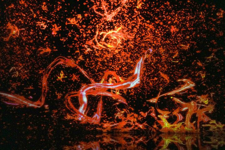 京都にチームラボ国内最大のミュージアムが誕生。日本未発表作品も